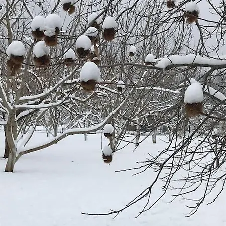 샬레 Blessings στον παλαιό άγιο αθανάσιο με τζάκι, Barbeque, μεγάλη αυλή και υπέροχη θέα *