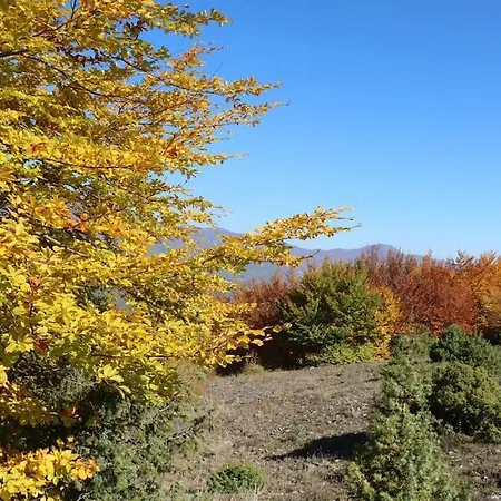 Alpesi faház Blessings στον παλαιό άγιο αθανάσιο με τζάκι, Barbeque, μεγάλη αυλή και υπέροχη θέα
