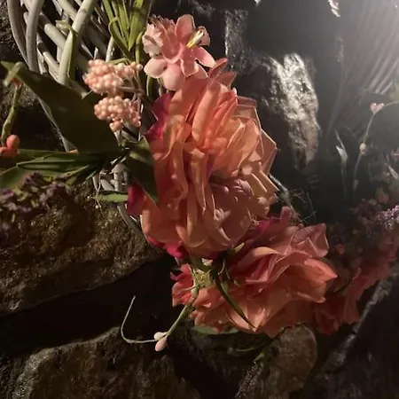 Blessings στον παλαιό άγιο αθανάσιο με τζάκι, Barbeque, μεγάλη αυλή και υπέροχη θέα 팔라이오스 아기오스 아타나시오스