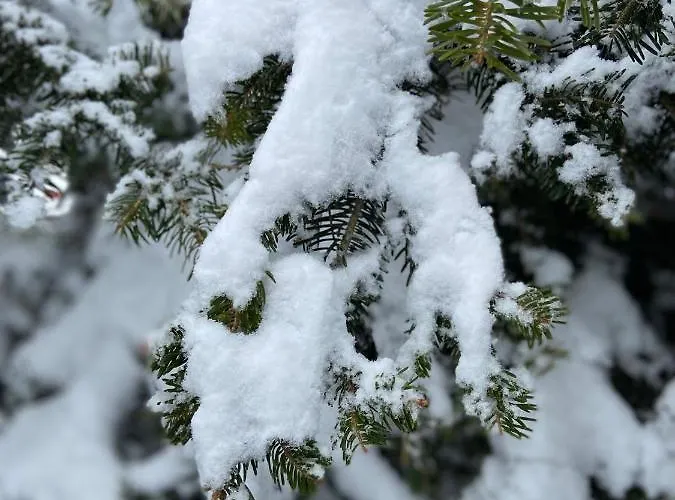 Blessings στον παλαιό άγιο αθανάσιο με τζάκι, Barbeque, μεγάλη αυλή και υπέροχη θέα Alpesi faház *