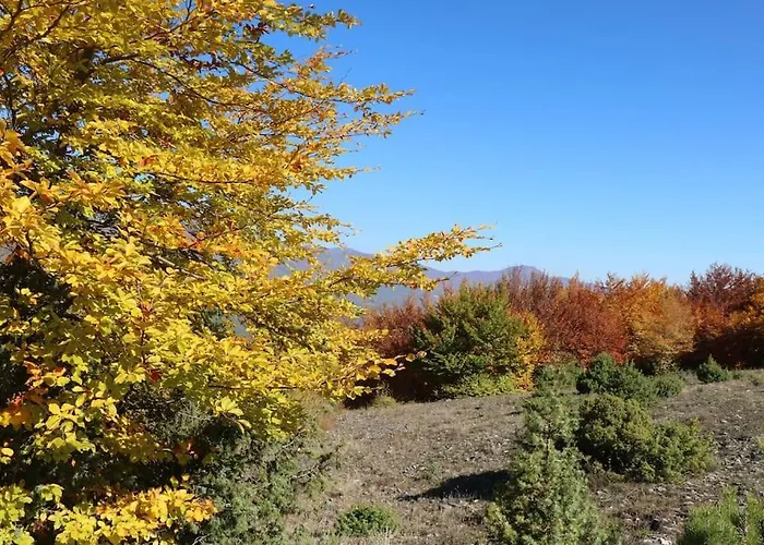 Alpesi faház Blessings στον παλαιό άγιο αθανάσιο με τζάκι, Barbeque, μεγάλη αυλή και υπέροχη θέα