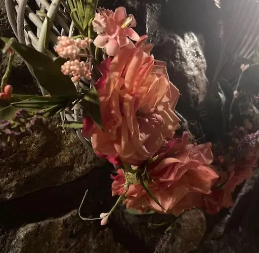 Blessings στον παλαιό άγιο αθανάσιο με τζάκι, Barbeque, μεγάλη αυλή και υπέροχη θέα Paleósz Ájosz Athanásziosz